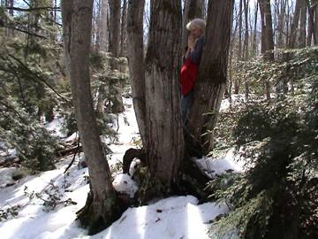 Kathleen meditating in a multi-tree cluster